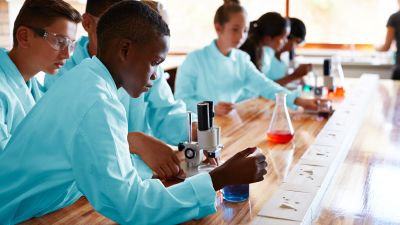 SBSA Education section health